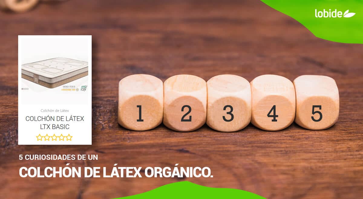¡Conoce las particularidades de un colchón de látex orgánico!