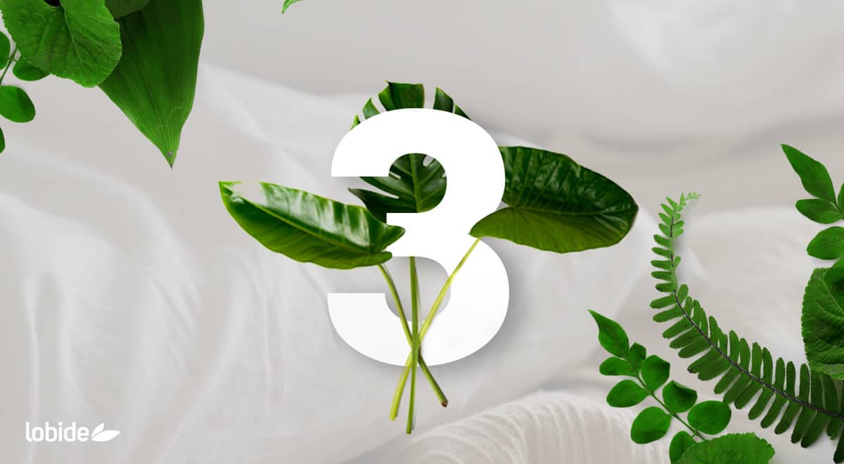 3 razones por las que los colchones ecológicos son un beneficio para tu salud y la del medioambiente.