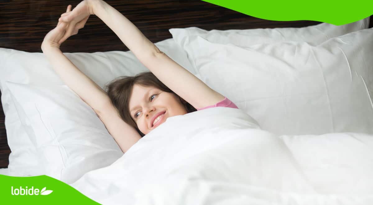 La cama para dolores de espalda ecológica promueve una mejor circulación y liberación de tensión cervical y articular.