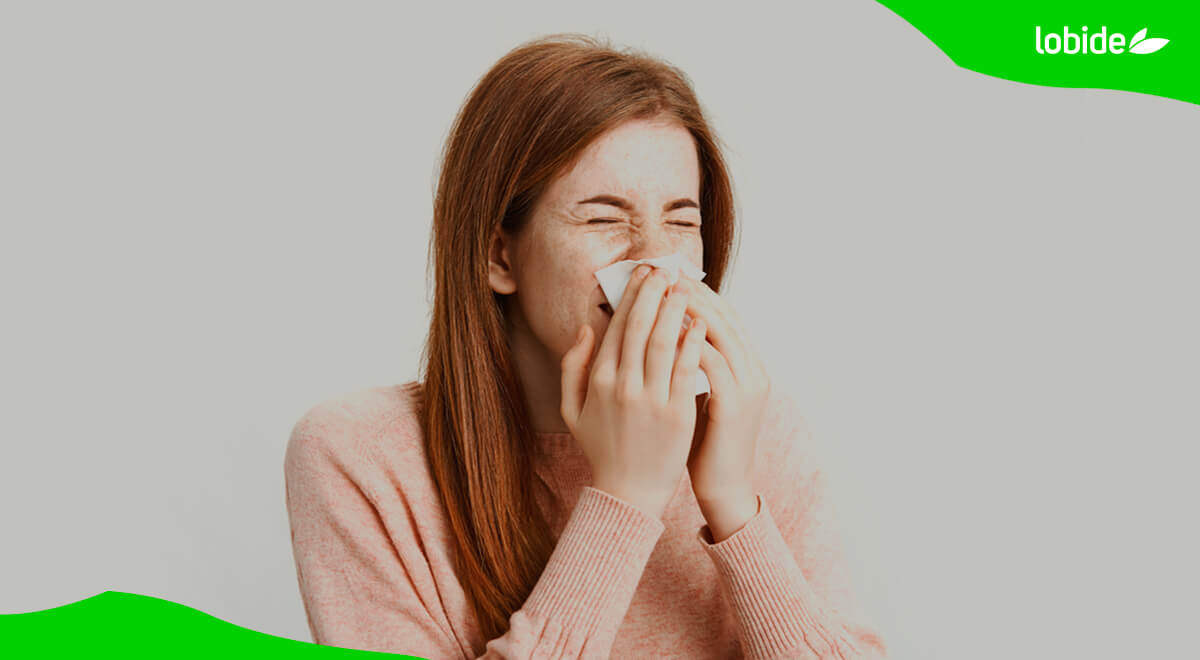 La alergia a los ácaros y al polvo es causada por la caca de los ácaros