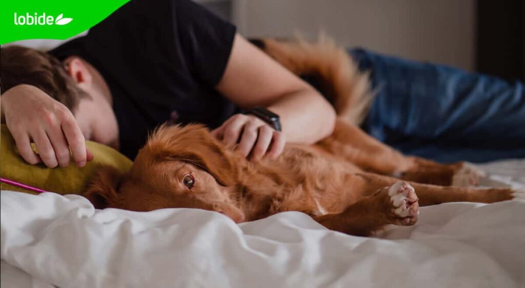 posturas para dormir bien y despertar sin dolencias